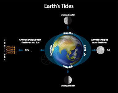 用地球和哞哞显示地球潮汐的图表绘画世界天文学天文宇宙学重力行星天文学家星星星系背景图片