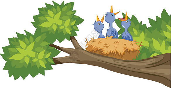 树枝上的鸟巢卡通片绘画鸟类夹子插图森林动物飞行艺术背景图片