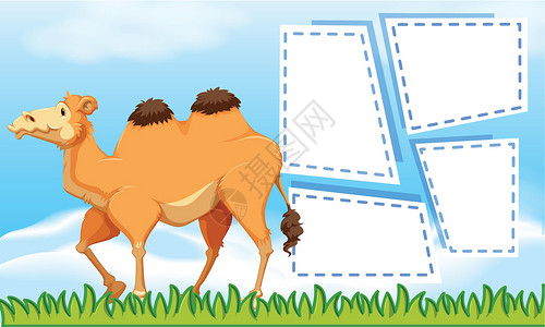 骆驼草空白的骆驼不绘画动物笔记卡片床单商业插图记事本办公室夹子设计图片