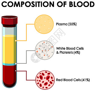 显示血液成分的图表艺术夹子意义药品生活插图白血科学细胞红血背景图片