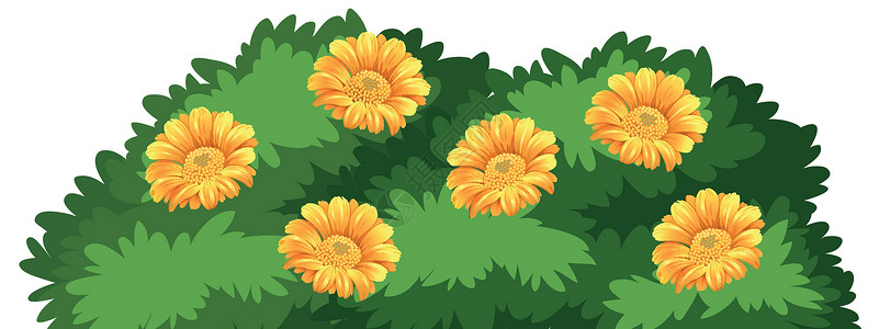 孤立的花巴士绿色花园季节插图夹子绘画植物学叶子艺术植物背景图片