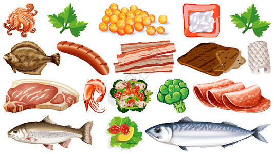 鱼沙拉一套新鲜食品配料动物夹子团体收藏生物卡通片蔬菜绘画海鲜沙拉设计图片