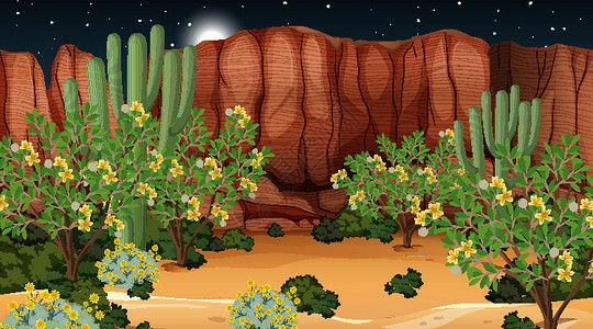 仙人掌夜景中的沙漠森林景观荒野场景环境黑暗天气干旱插图岩石绿洲卡通片设计图片