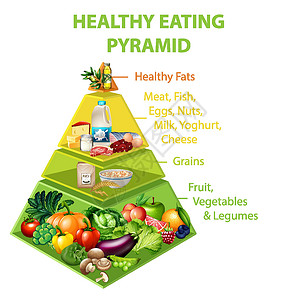 面包图表健康饮食金字塔炭奶制品蔬菜肥胖教育插图学习方案糖果酸奶信息设计图片