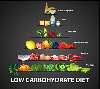 蔬菜酸奶低碳水化合物饮食图牛奶信息碳水面包动物学习方案备择酸奶图表设计图片