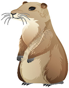 白色背景下草原犬鼠的动物卡通人物夹子热带剪贴荒野动物园动物群森林环境艺术宠物插画