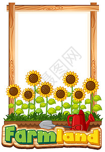 前卫向日葵的边框模板设计农业花园木板插图边界风景场景字体环境字母背景图片