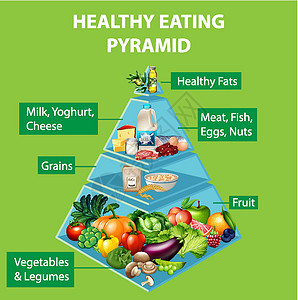 健康水平健康饮食金字塔炭科学酸奶信息学习生物谷物食物插图碳水化合物插画