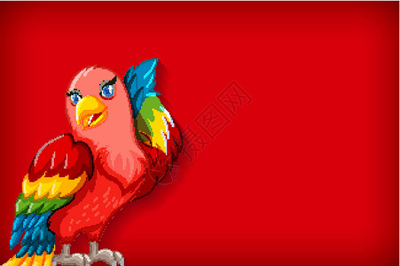 具有纯色和彩色鹦鹉的背景模板背景图片