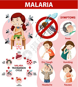 疟原虫疟疾传播周期和症状信息图表标识安全蚊子保健漏洞卡通片全世界生物指示牌框架插画