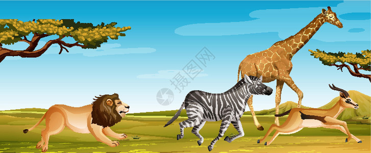 奔跑长颈鹿一群在大草原上奔跑的非洲野生动物插画