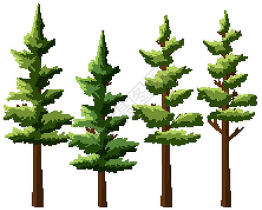 白色背景的孤立树卡通片夹子插图装饰植物艺术松树环境风格绘画背景图片