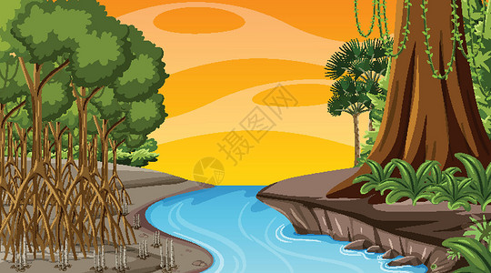 北部湾红树林卡通风格中日落时分红树林的自然场景插画