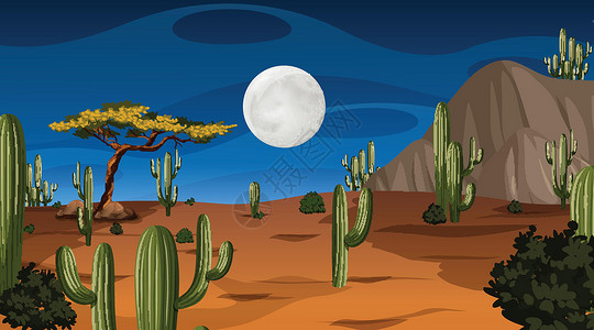 仙人掌树在夜景的沙漠森林风景与许多仙人掌设计图片