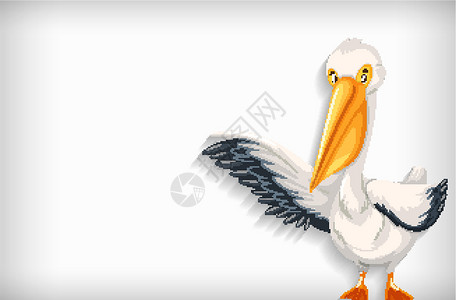 具有纯色和鹈鹕比尔的背景模板翅膀生物航班飞行空白插图环境绘画野生动物动物背景图片