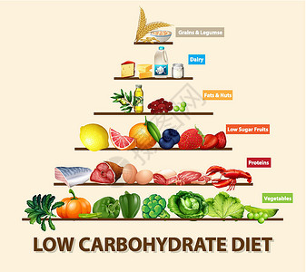 低碳水化合物饮食图学习水果信息谷物肥胖牛奶生物蔬菜图表糖类背景图片