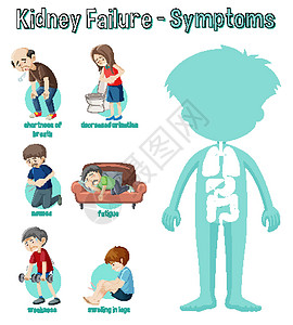 恶心肾功能衰竭症状信息 Infographi失败艺术指示牌身体剪贴健康疾病弱点教育绘画设计图片