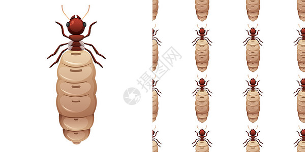 热锅上蚂蚁在白色背景和无缝钢管上分离的白蚁昆虫动物教育包装飞行插图农药蚂蚁病理卡通片艺术插画