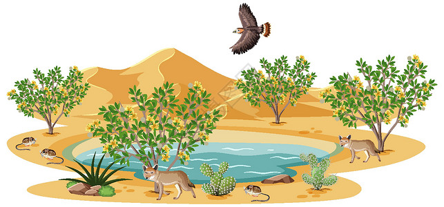 沙漠 绿洲白背景野生沙漠中的杂酚油布什植物绿洲沙丘干旱插图森林太阳天气艺术荒野夹子插画