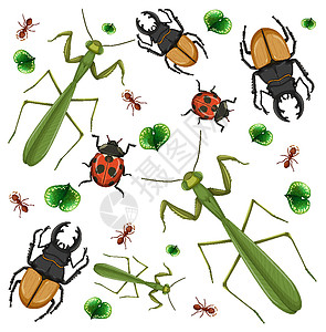热锅上蚂蚁白色背景上的一组不同昆虫荒野瓢虫螳螂漏洞插图蚂蚁墙纸航班蜻蜓蜜蜂插画