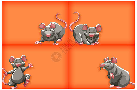 具有纯色和灰色鼠标的背景模板环境野生动物老鼠动物动物群空白艺术绘画卡通片生物背景图片