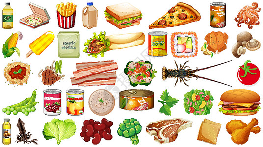 芫荽籽食品隔离套午餐收藏海鲜团体蔬菜沙拉健康寿司绘画树叶插画