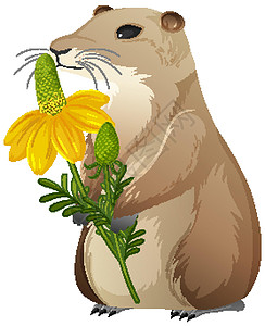 白色背景下草原犬鼠的动物卡通人物插图艺术花瓣生物森林植物热带小狗野生动物环境插画