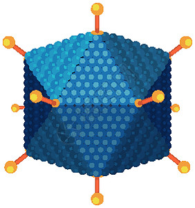 白色背景上的腺病毒结构图邻体卡通片纤维艺术插图夹子医疗图表绘画信息插画