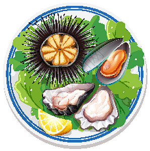 吃海胆平台上食物的鸟瞰图卡通片插图盘子绘画海鲜夹子贝类海胆艺术牡蛎插画