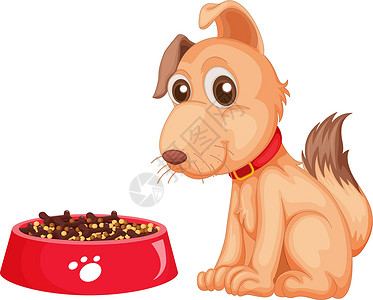 狗吃狗粮孤立的狗时间厚脸插图犬类红色喜悦干粮动物爪子哺乳动物插画