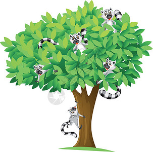 躲树上的松鼠狮子隐藏空格处哺乳动物树干草图团体分支机构卡通片享受设计图片