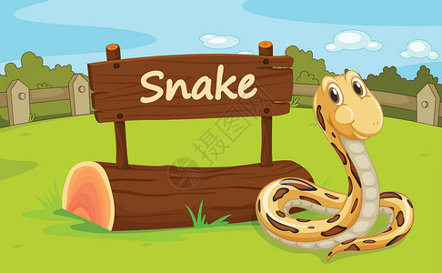 戴眼镜蛇动物园动物土地栖息地外壳蟒蛇吉祥物围栏粮食栅栏卡通片俘虏设计图片