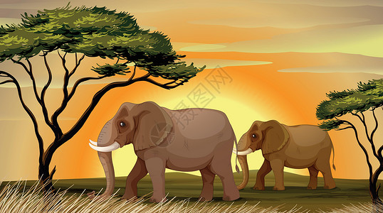 2个大象素材树下大象动物活动干旱比丘绘画大草原辉光场景家庭日落设计图片