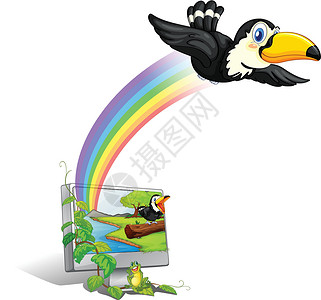 彩虹澳洲鹦鹉活过来电子青蛙卡通片飞行桌面监视器植物电脑生长藤蔓设计图片
