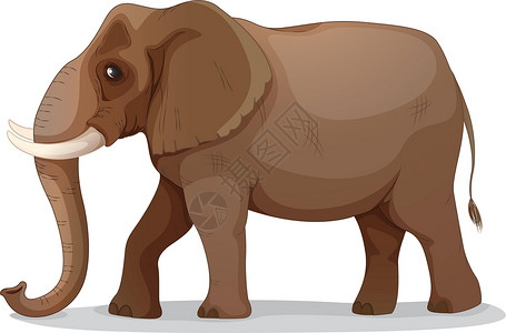 2个大象素材大象草图绘画荒野象类哺乳动物树干象科动物设计图片