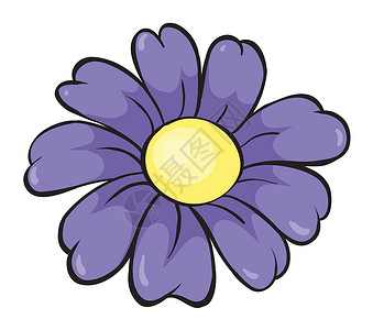 紫雏菊紫花朵阴影黄色绘画草图花瓣植物群紫色庆典植物脆弱性设计图片