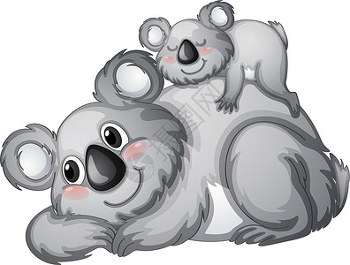 考拉动物科阿拉愤怒灰色荒野哺乳动物婴儿草图家庭情调卡通片考拉设计图片
