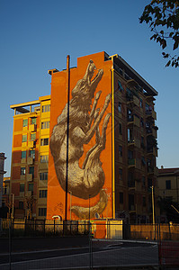 涂漆的黑狼建筑背景图片