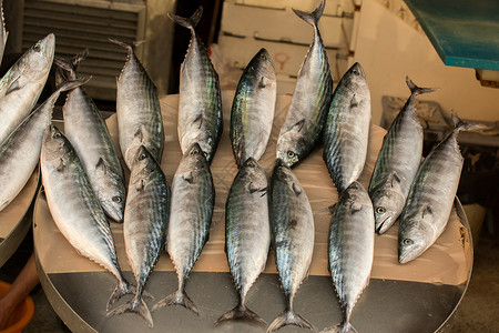 鱼市场上出售的新鲜鱼食物健康营养钓鱼海洋餐厅海鲜盐水抓住高清图片素材