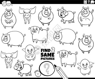 彩猪找到两只相同的猪游戏着色书页插画