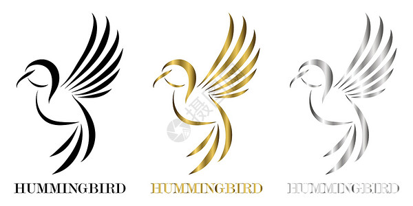 翅膀 LOGO三色黑金银线艺术矢量插图在飞行蜂鸟的白色背景上 适合制作logo插画