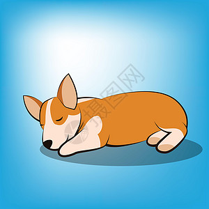 躺着睡觉的狗一只柯基小狗的可爱卡通矢量插图它正在睡觉插画