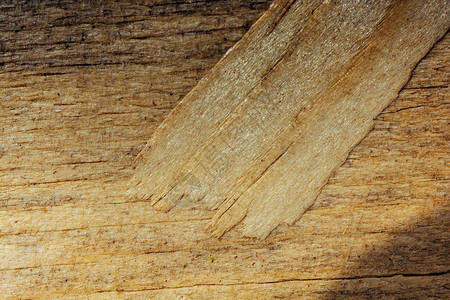 具有自然花纹的木质纹理木材木头控制板背景地面木工材料硬木背景图片