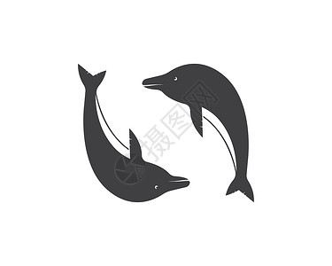 上海标志海豚标志图标 vecto插图身份公园蓝色艺术海浪圆圈白色商业字母插画