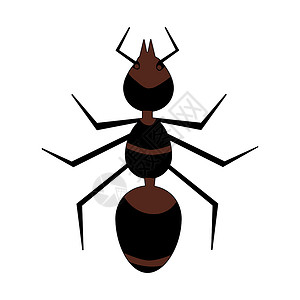 火上蚂蚁素材在白色背景上孤立的褐蚁插画
