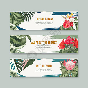带有热带植物概念 水彩色风格的薄板模板花瓣营销植物学区系花园广告插图绘画叶子天堂插画