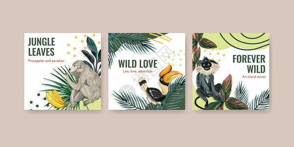 广告模板与热带当代概念设计营销水彩矢量它制作图案情调叶子森林装饰品插图异国植物动物丛林背景图片