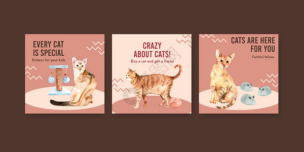 广告模板设计与猫传单和营销水彩它制作图案绘画小册子朋友艺术文档插图动物兽性手绘背景图片