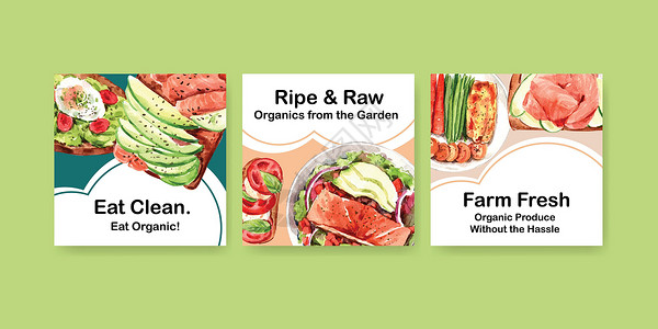 具有健康有机食品设计的广告模板 用于小册子 传单和促销水彩矢量插画饮食手绘生态沙拉营销蔬菜食物营养水果插图背景图片