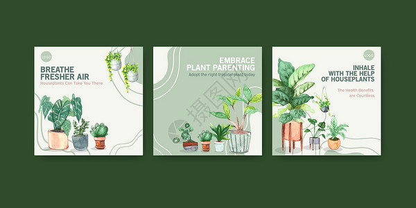虎尾兰夏季植物和室内植物宣传传单 小册子和小册子水彩图案的模板设计绿色双色肉质箭头插图园艺手绘花园叶子文档插画